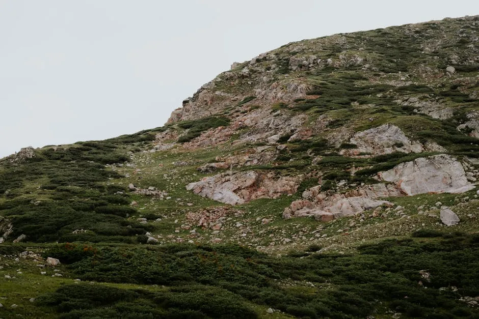 Landscape of a Rocky Mountain