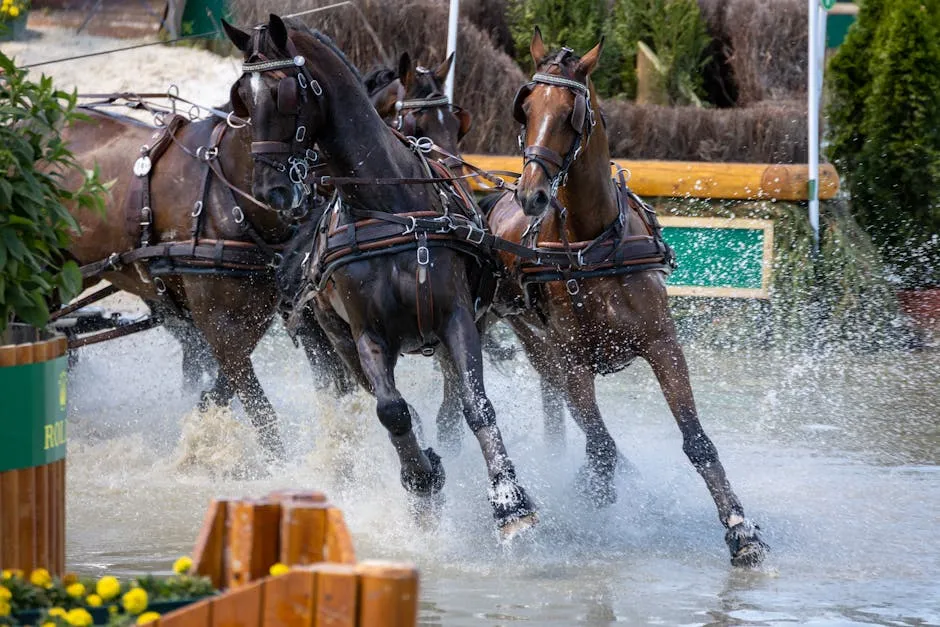 Photo of Horses Galloping through Water in a Race