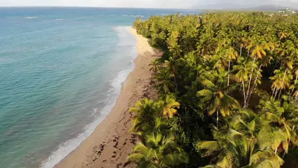 Horizontal video: Drone footage of a tropical beach in the dominican republic 3223480. Duration: 27 seconds. Resolution: 3840x2160