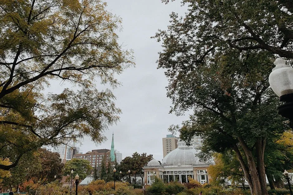 Green Trees Near White Building