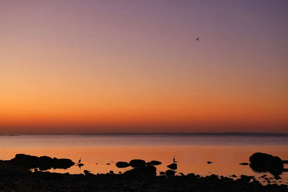 Photo of a Beach during Daybreak