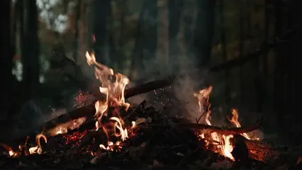 Horizontal video: A flame of a burning firewoods 5596906. Duration: 18 seconds. Resolution: 3840x2160