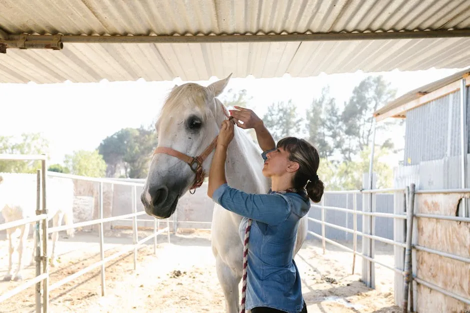 A Woman Putting Clinch on the White Horse