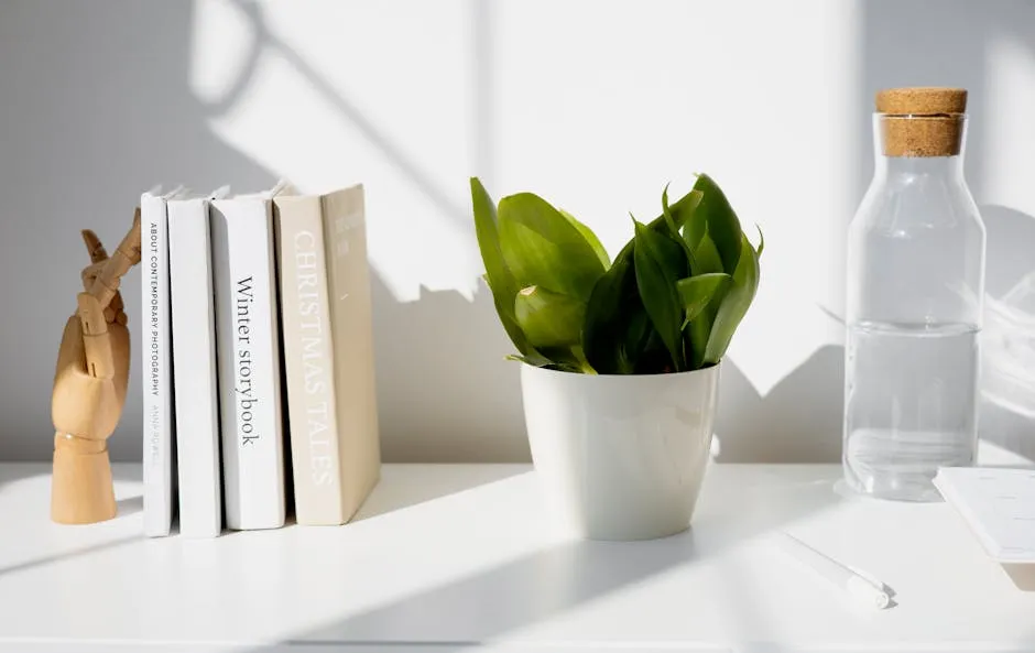 A Potted Green Plant on White Table Beside a Bottle of Water and Books