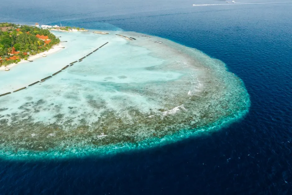 Aerial Shot of an Ocean