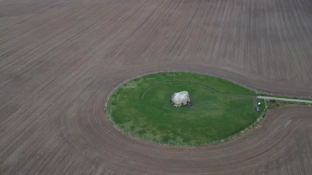 Horizontal video: Aerial view of solitary tree in green field 28964037. Duration: 10 seconds. Resolution: 3840x2160