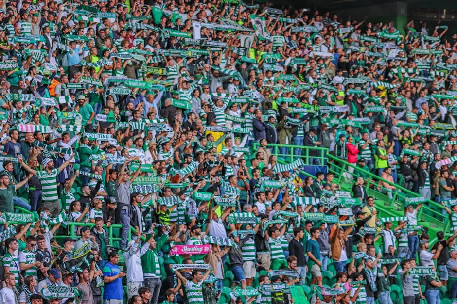 People in a Stadium