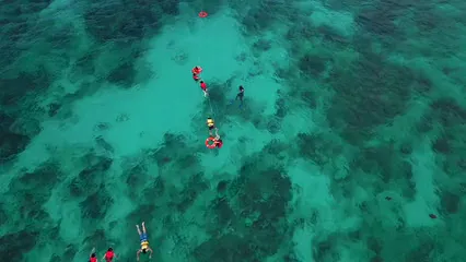 Horizontal video: Coral reef snorkeling 2867873. Duration: 17 seconds. Resolution: 3840x2160