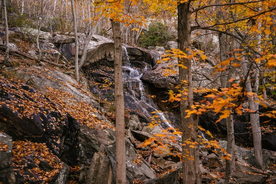 Rapid river flowing through stony cliff in autumn forest