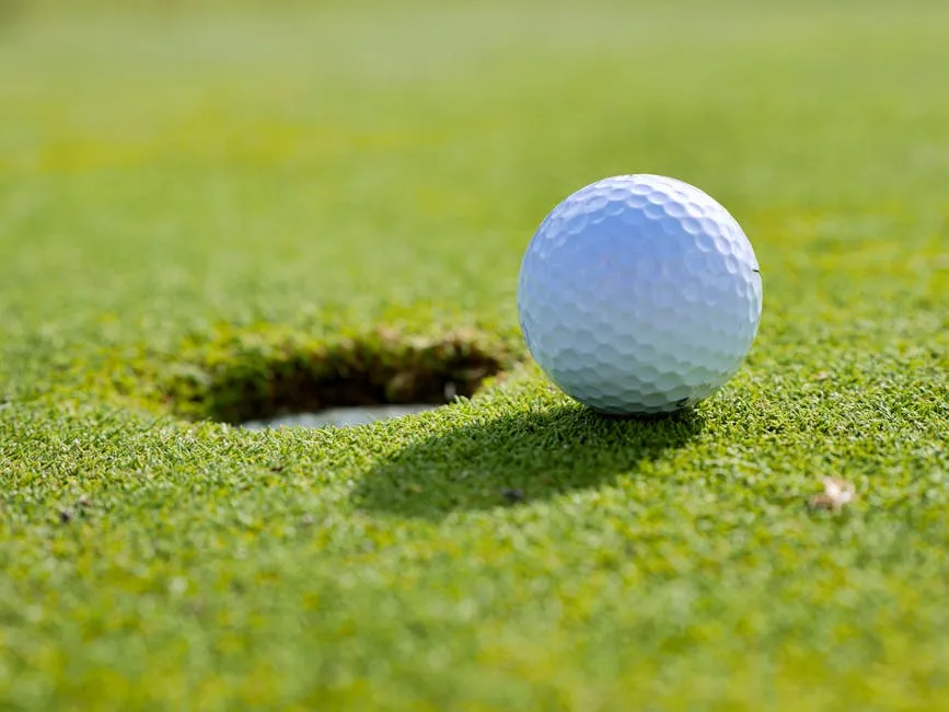 Close Up Photo of Golf Ball near a Hole