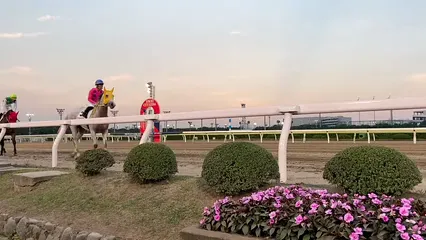 Horizontal video: Jockeys on racing horses 14037211. Duration: 13 seconds. Resolution: 1920x1080