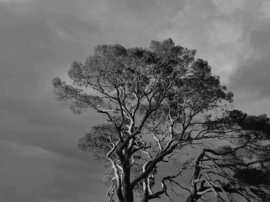 Tall Tree against a Cloudy Sky