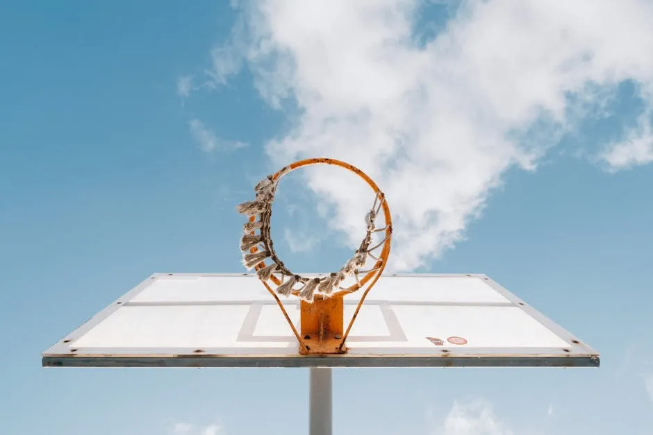 Basketball Hoop and Ring