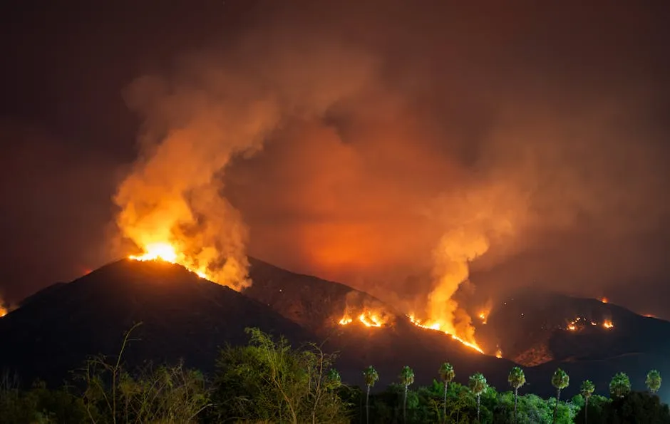 Dramatic Night View of California Wildfire