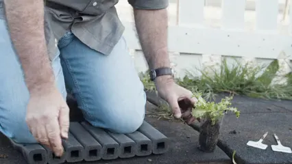 Horizontal video: Planting vegetables 7655279. Duration: 12 seconds. Resolution: 3840x2160