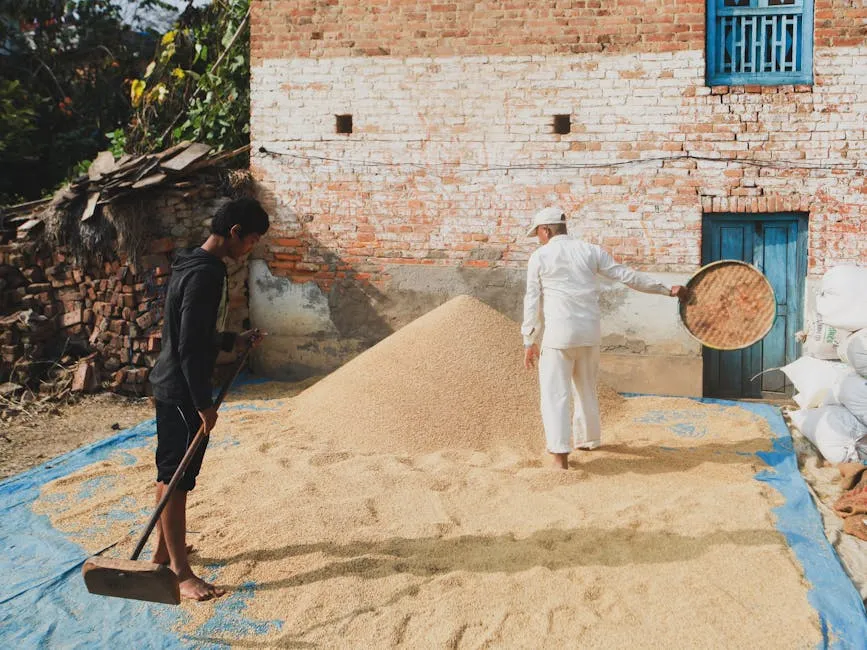 People Working in a Village