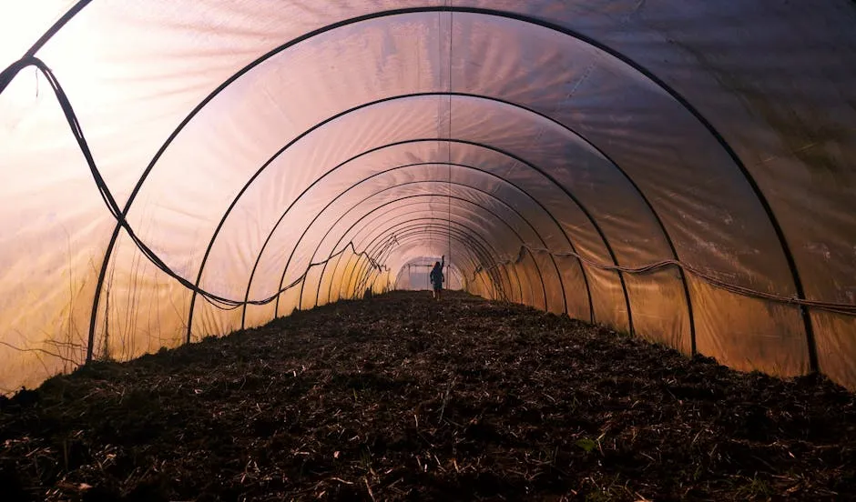 Person Walking inside a Foil Greenhouse with Dark Soil