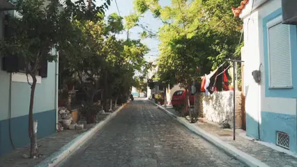 Horizontal video: A narrow street lined with trees 2674787. Duration: 13 seconds. Resolution: 1920x1080