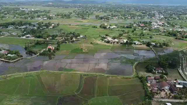 Horizontal video: Aerial view of verdant rice fields in rural landscape 28747019. Duration: 42 seconds. Resolution: 3840x2160