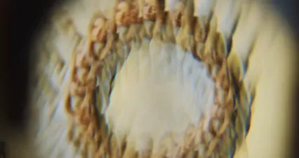 Horizontal video: A woman raising her hands 6491276. Duration: 23 seconds. Resolution: 4096x2160
