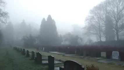 Horizontal video: A memorial park 7029581. Duration: 39 seconds. Resolution: 1920x1080