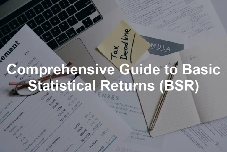 Featured image for Comprehensive Guide to Basic Statistical Returns (BSR)