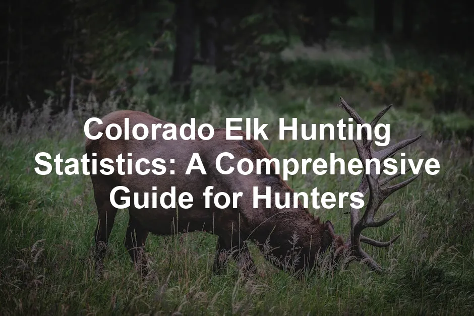 Featured image for Colorado Elk Hunting Statistics: A Comprehensive Guide for Hunters