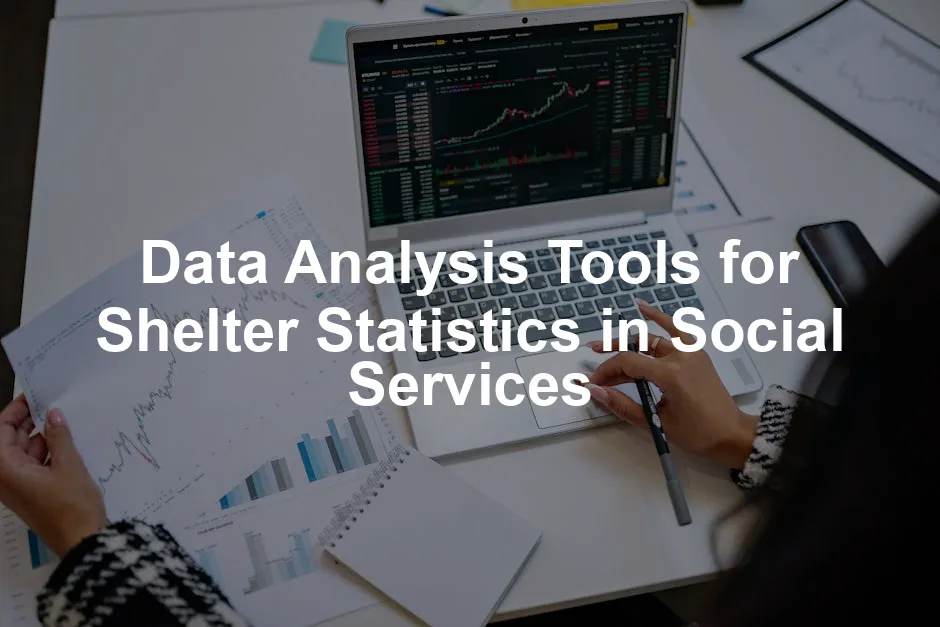 Featured image for Data Analysis Tools for Shelter Statistics in Social Services