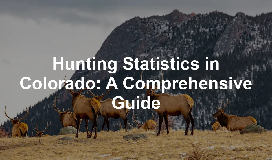 Featured image for Hunting Statistics in Colorado: A Comprehensive Guide