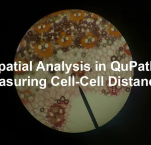 Featured image for Spatial Analysis in QuPath: Measuring Cell-Cell Distances