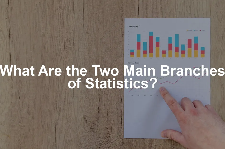 Featured image for What Are the Two Main Branches of Statistics?