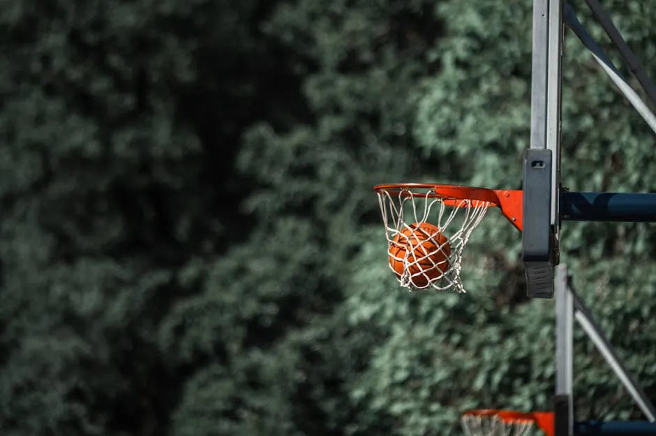 Basketball in the Hoop