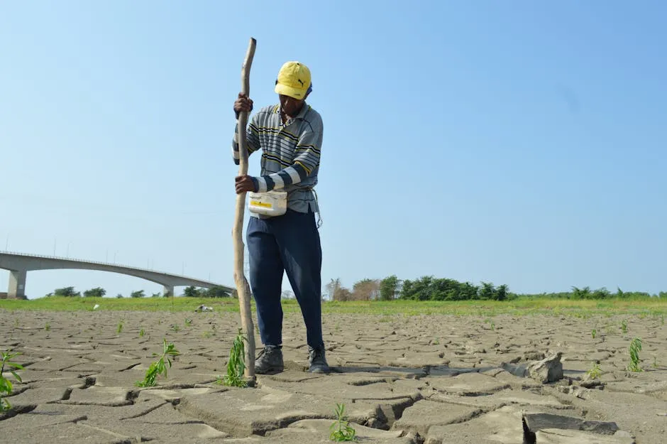 A man monitors environmental conditions on cracked dry ground near a bridge with sunny weather.