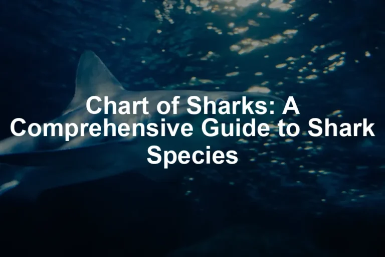 Featured image for Chart of Sharks: A Comprehensive Guide to Shark Species