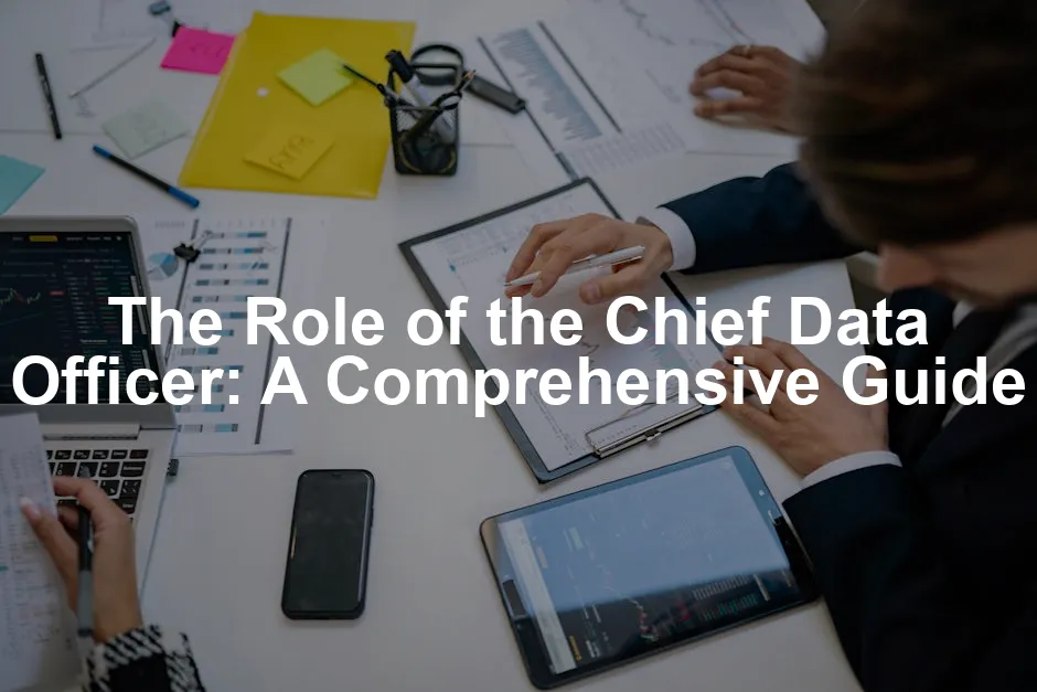 Featured image for The Role of the Chief Data Officer: A Comprehensive Guide