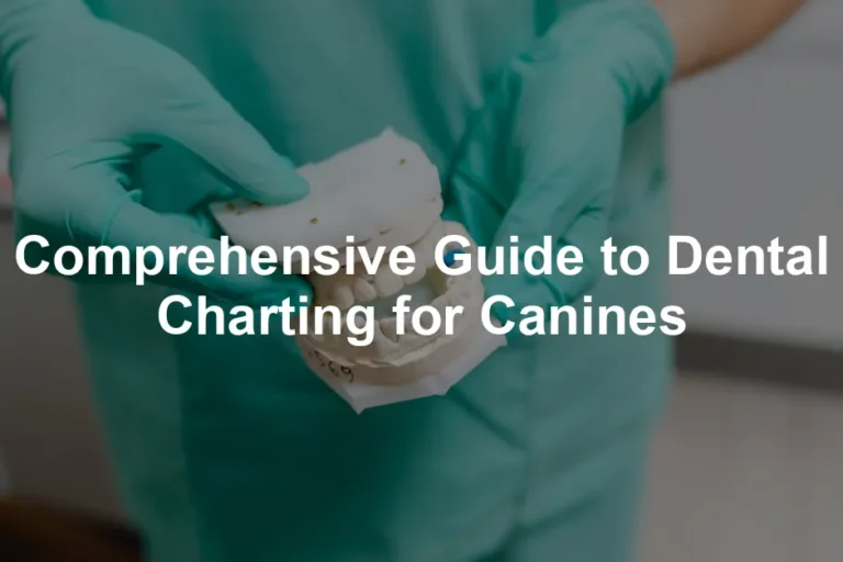 Featured image for Comprehensive Guide to Dental Charting for Canines